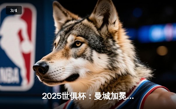 2025世俱杯：曼城加冕新王，南美豪门憾失桂冠 - 3