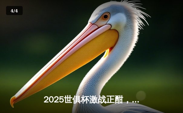 2025世俱杯激战正酣，曼城3-1逆转弗拉门戈夺冠，哈兰德双响荣膺MVP - 4